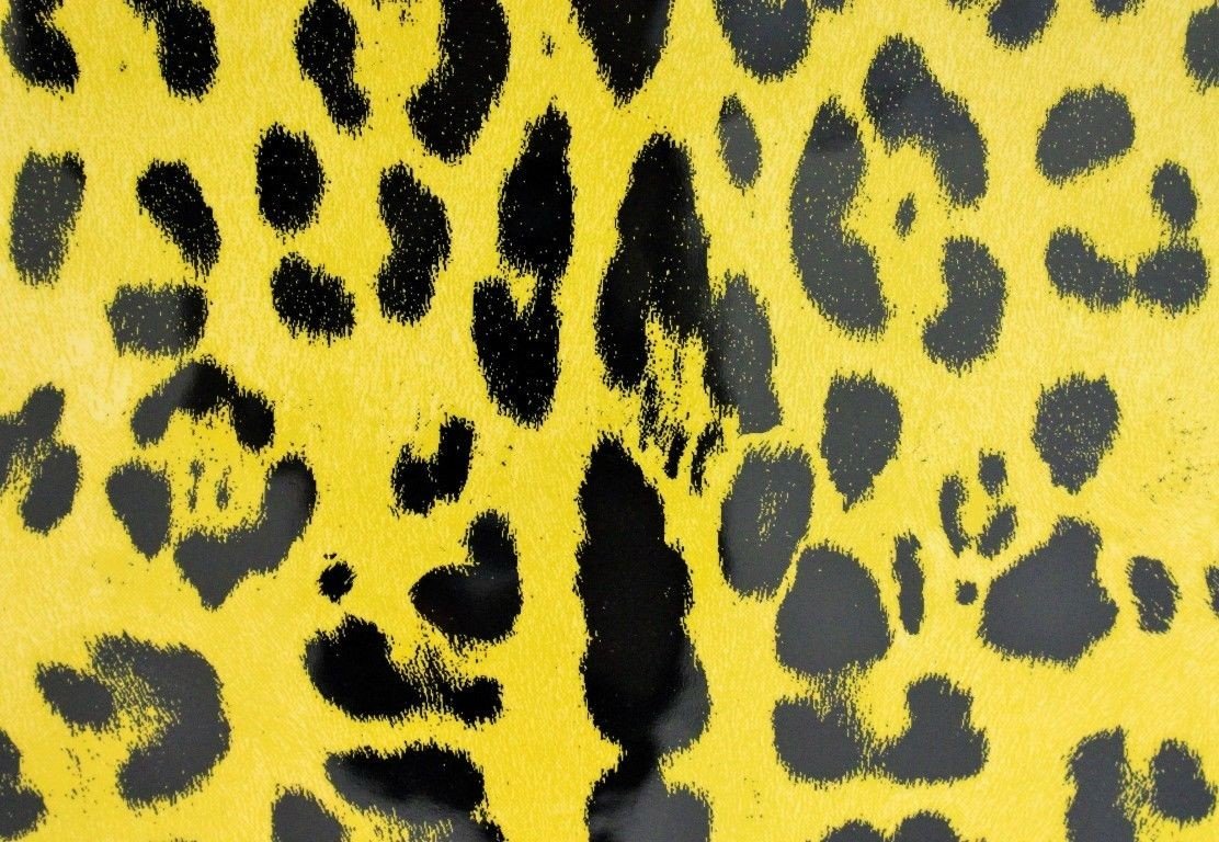 Leopard Leather iPAD Tablet eBook Cover Bag