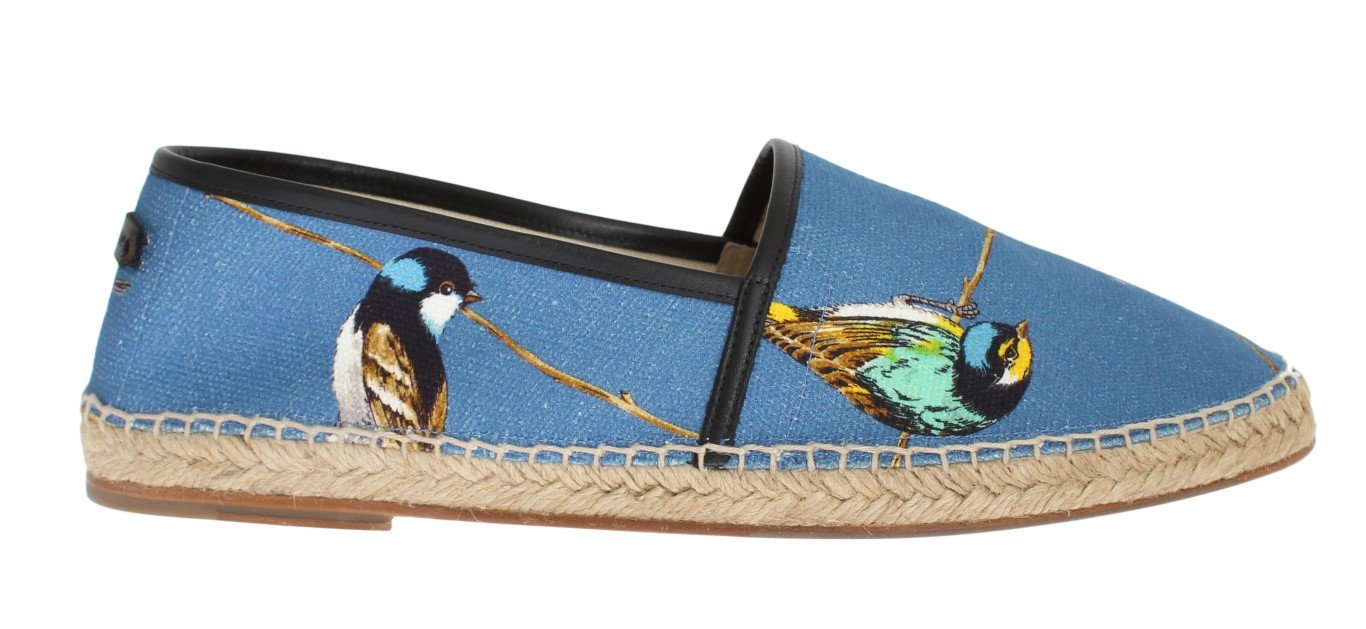 Blue Canvas Bird Pattern Espadrilles
