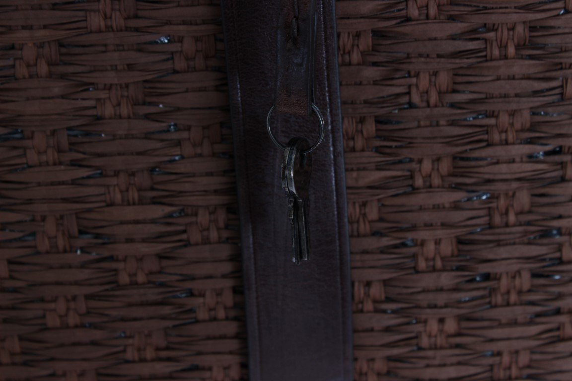 Brown Leather Paglia Luggage Travel Messenger Bag