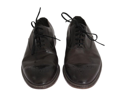 Brown Leather Wingtip Laceups Shoes