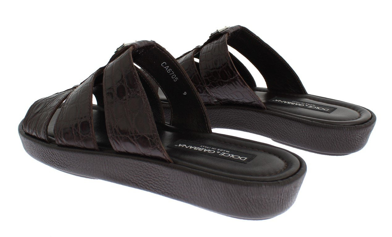 Brown Caiman Crocodile Leather Sandal Shoes