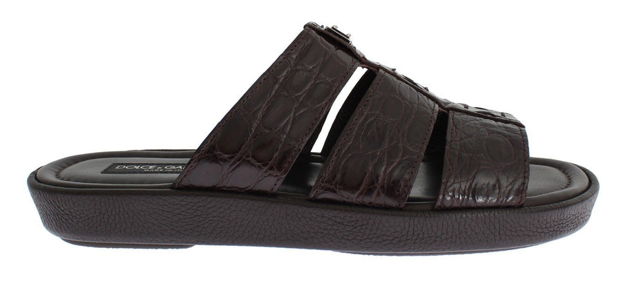 Brown Caiman Crocodile Leather Sandal Shoes