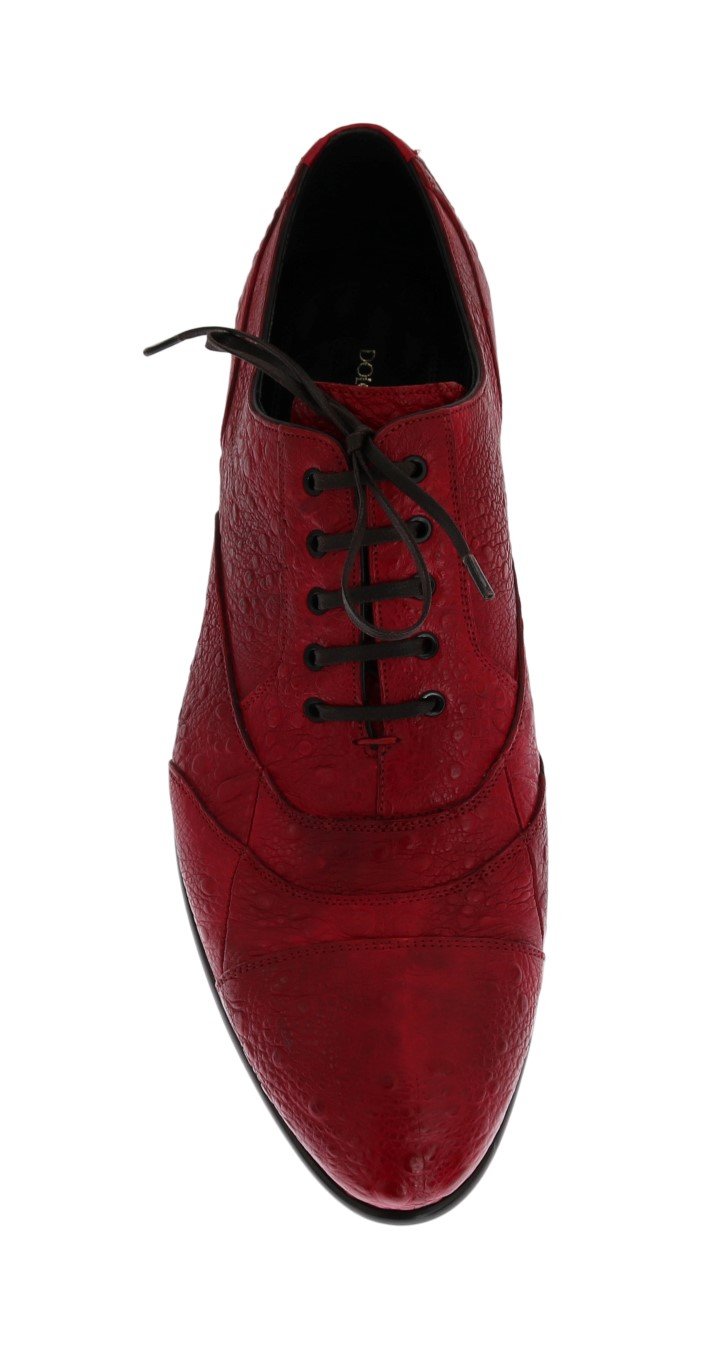 Red Frog Skin Leather Derby Shoes