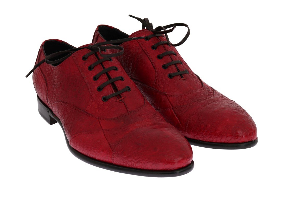 Red Frog Skin Leather Derby Shoes