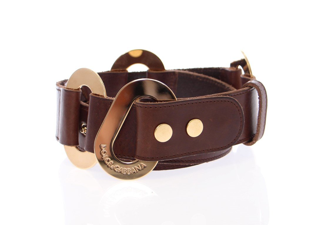 Brown Leather Logo Gold Belt