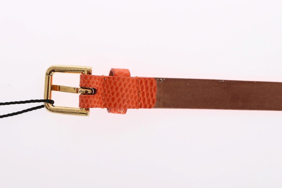 Orange Snakeskin Gold Buckle Logo Waist Belt