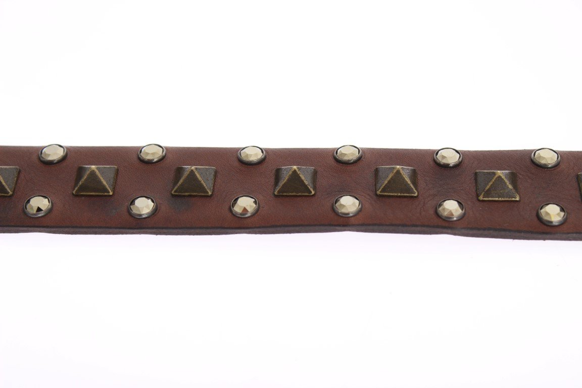 Brown Leather Gold Buckle Studded Belt