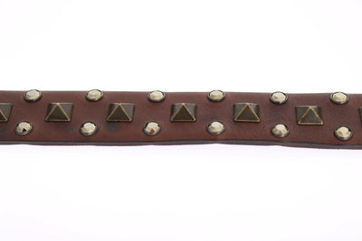 Brown Leather Gold Buckle Studded Belt