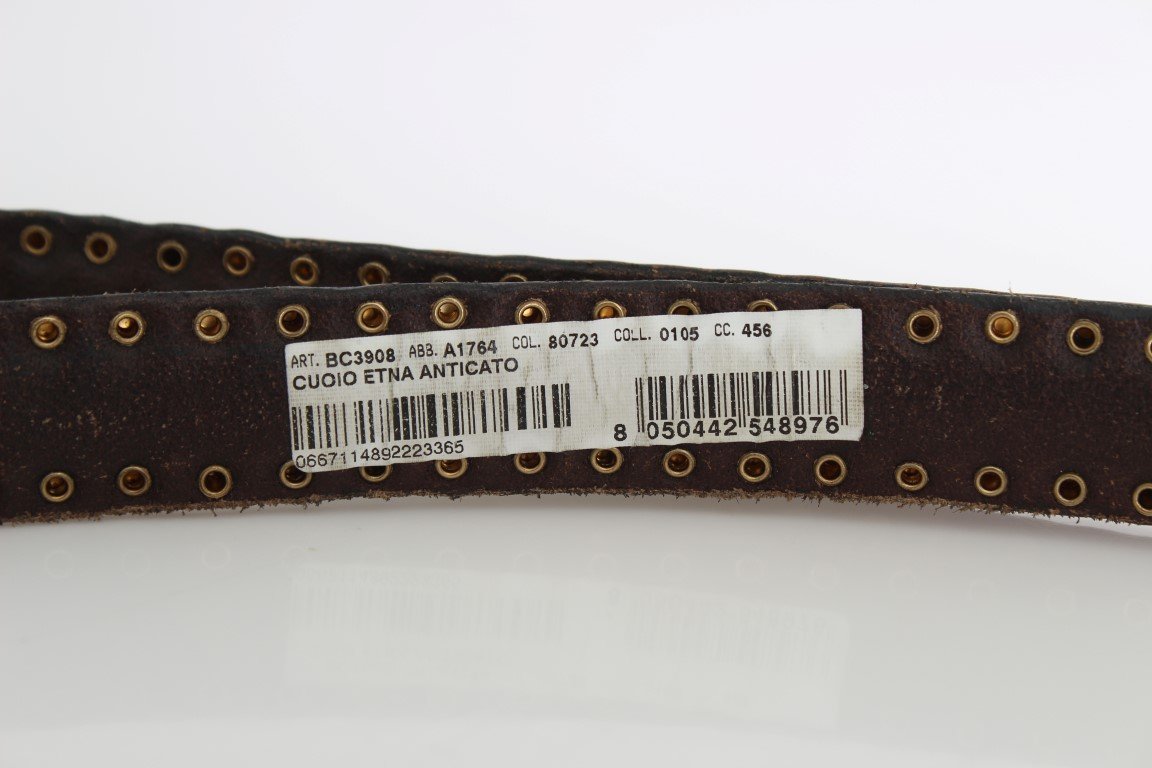 Brown Leather Gold Buckle Studded Belt