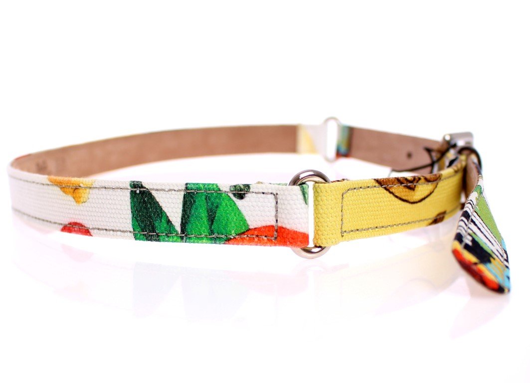 Multicolor Silk Belt