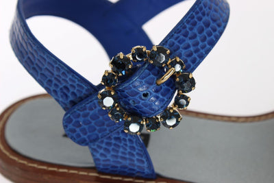 Blue Crocodile Crystal Paglia Sandals