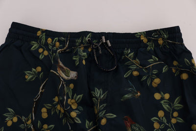 Blue Bird Beachwear Swimshorts